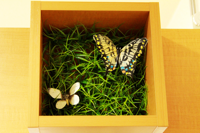 シンボルマークでもある蝶は、喜びの変化と共に、お取引企業様に舞い降りたいという想いがこめられている。