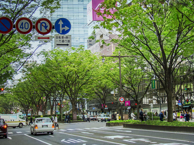 杜の都として知られる仙台は、その名の通り緑の多い街です