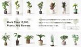 花・植物業界をリードするEC通販企業の経理・総務