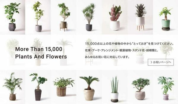 募集している求人：花・植物業界をリードするEC通販企業の経理・総務