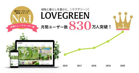 株式会社 ストロボライトの採用 求人 転職サイトgreen グリーン