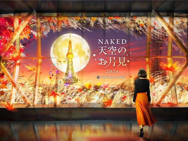 地方創生・デザイン・アートイベントの映像を創り上げるプログラマーを募集！