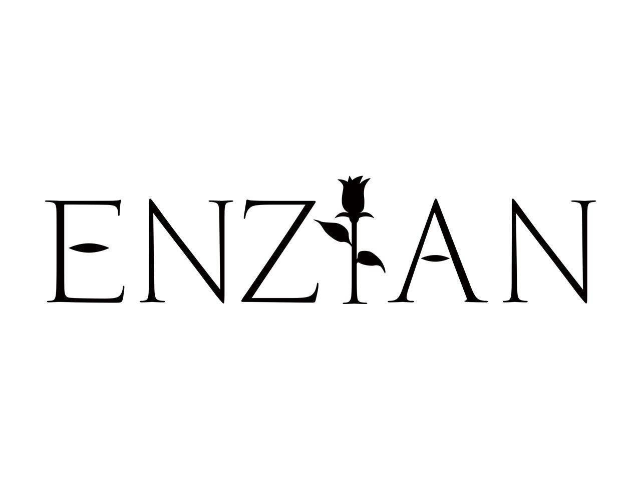 株式会社 ENZIANのイメージ画像3