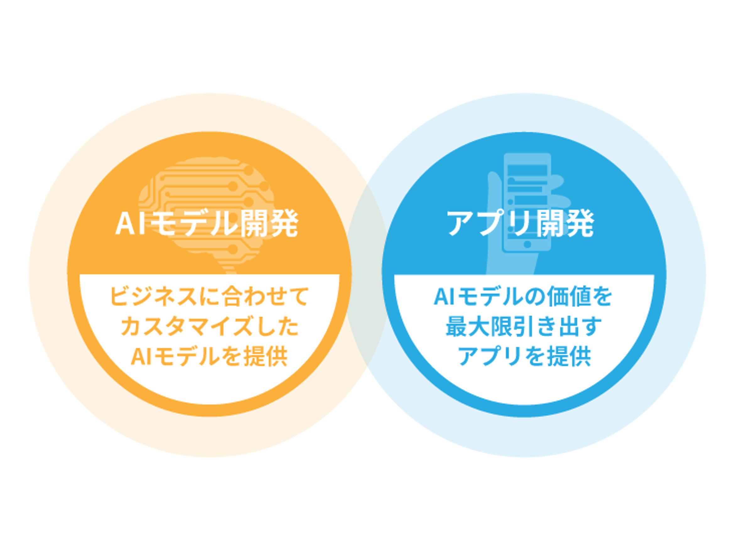 事業内容：AIとアプリケーションの統合開発事業