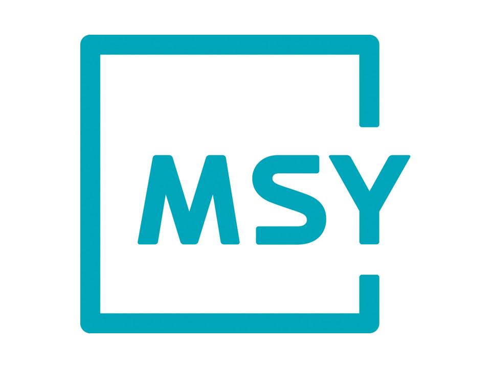 事業内容：人の想像力を開放し、 世界の価値観を変える「MSY」