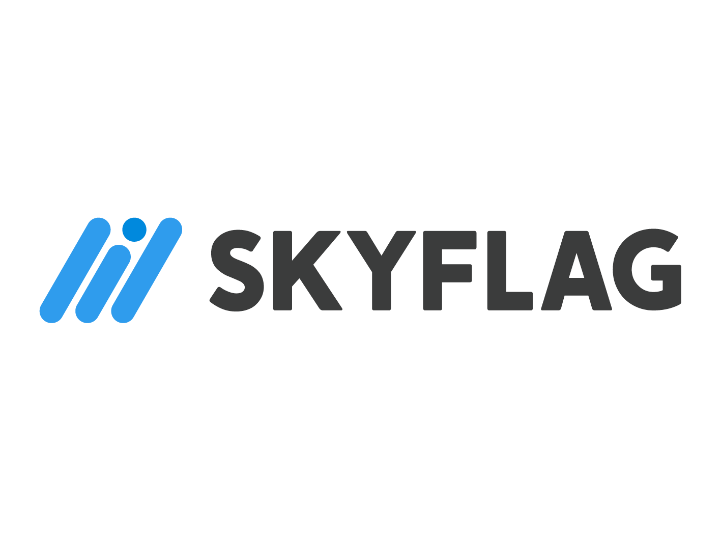 事業内容：広告マネタイズプラットフォーム「SKYFLAG」