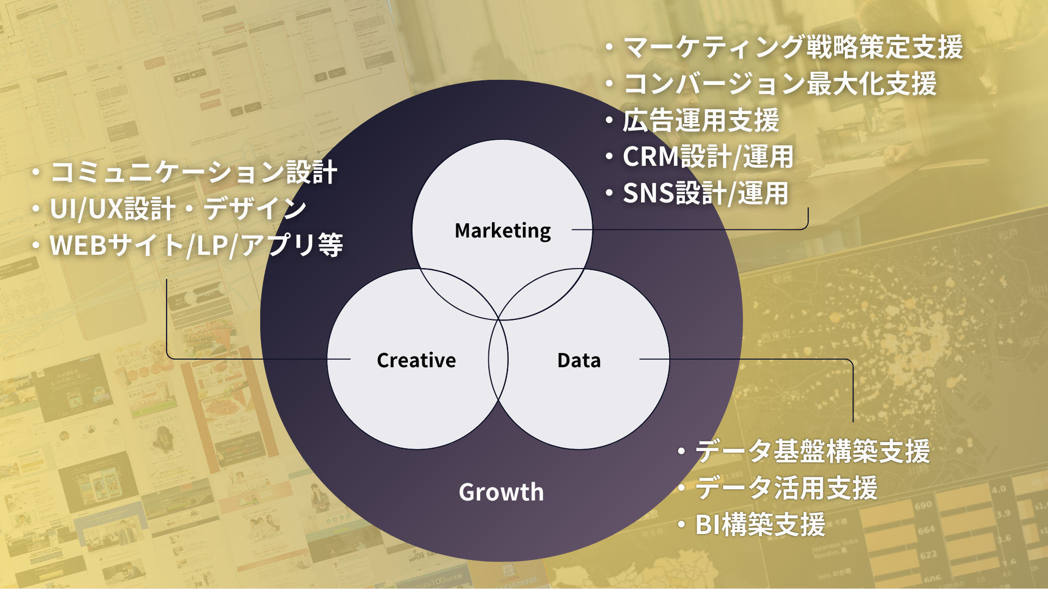 事業内容：マーケティング支援事業