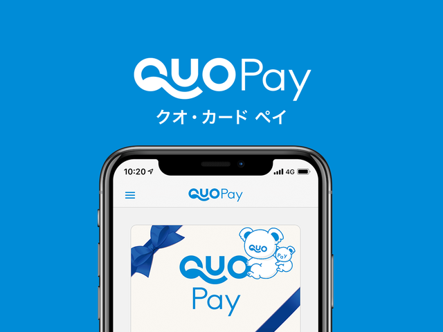 事業内容：デジタルギフト「QUOカードPay」開発事業