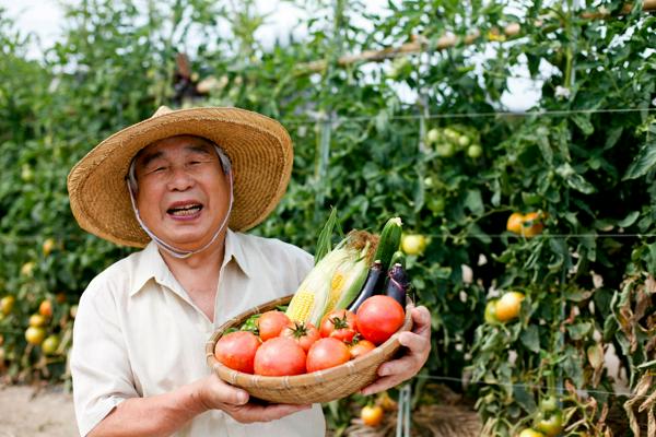 募集している求人：開発ディレクター